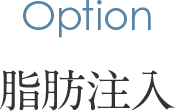 Option 脂肪注入