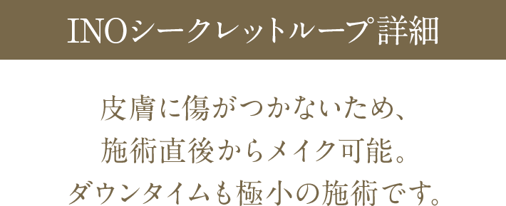 INOシークレットループ