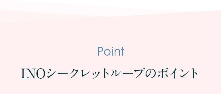 INOシークレットループのポイント